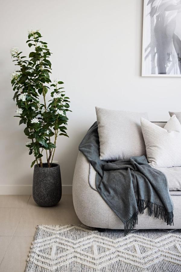 Metropolitan Woolloomooloo